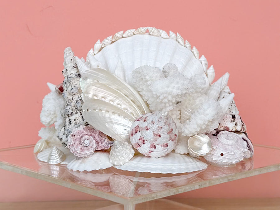 Fabulous Lucite Shell Box