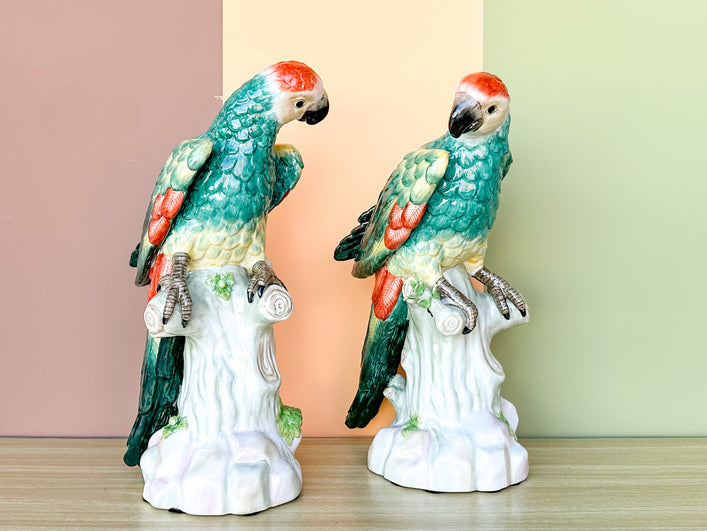 Pair of Stunning Chelsea House Parakeets