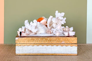 Shell Chic Trinket Box