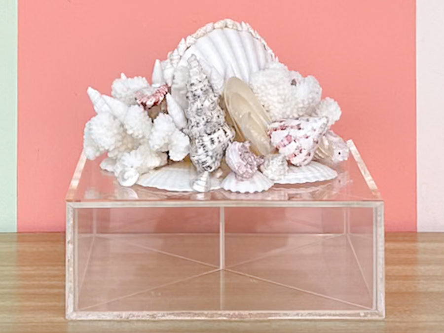 Fabulous Lucite Shell Box
