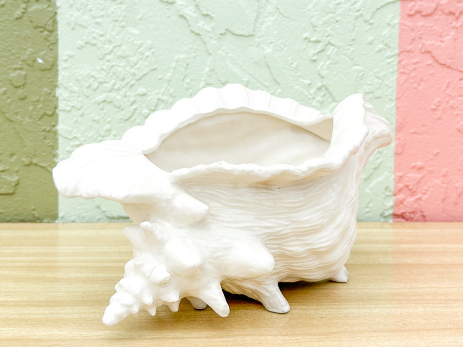 Cream Conch Shell Cachepot