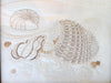 Framed Needlepoint Shell Art