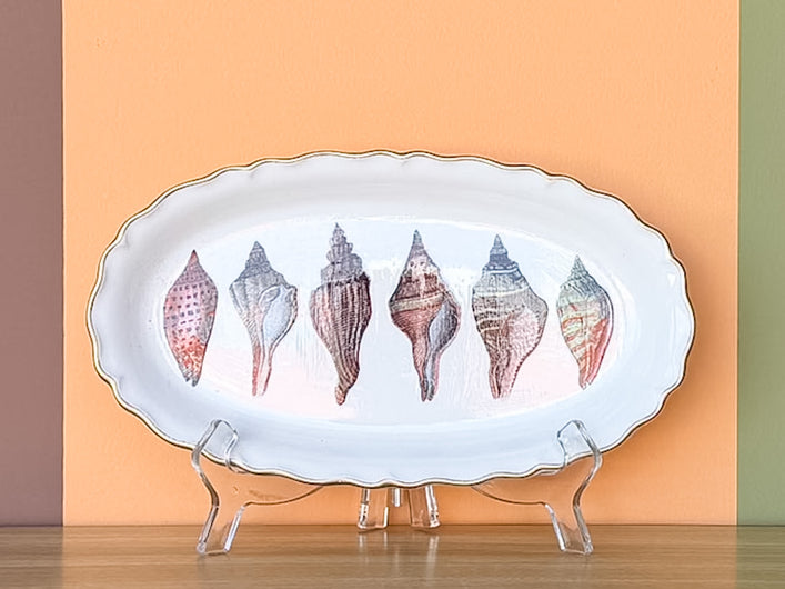 Cone Shell Decoupage Trinket Tray