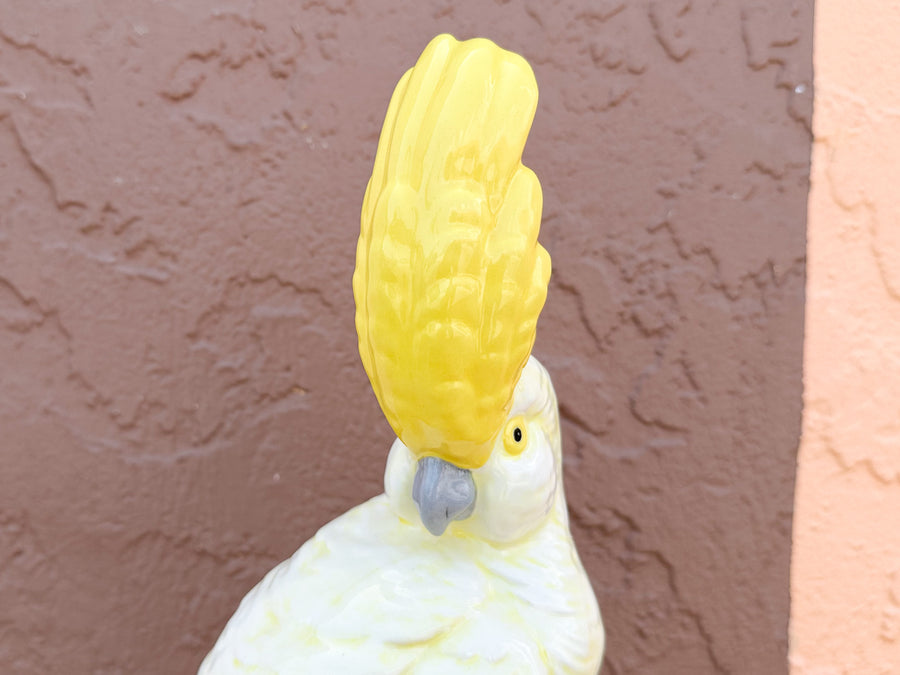 Yellow Tropical Cockatoo