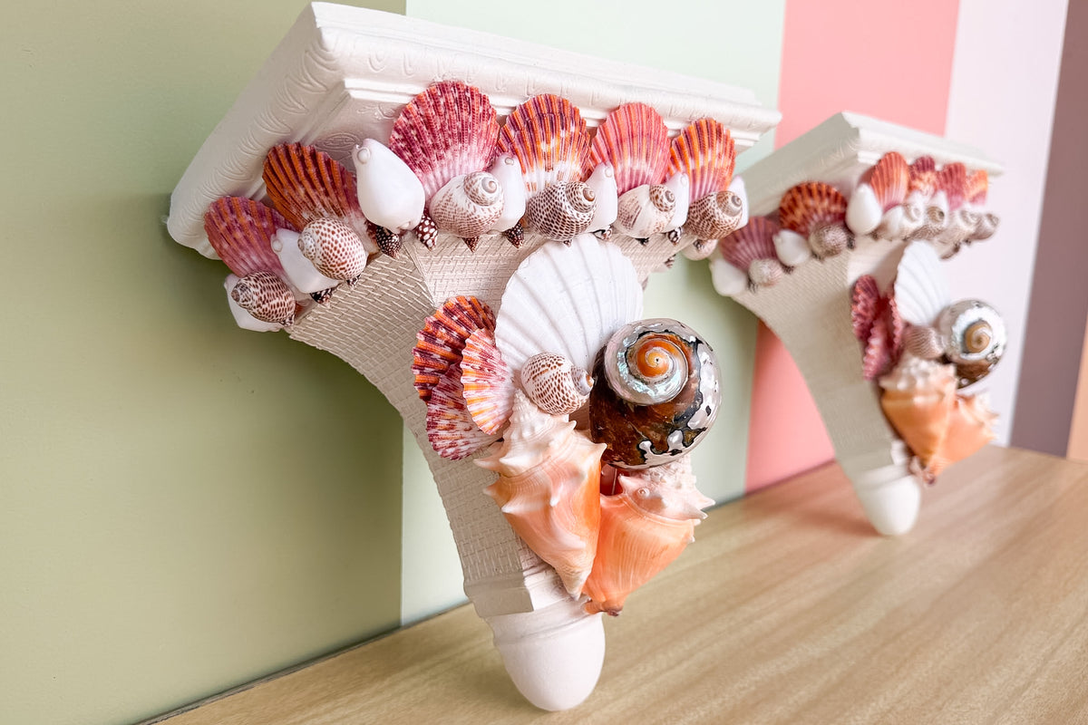 Pair of Shell Chic Wall Shelves