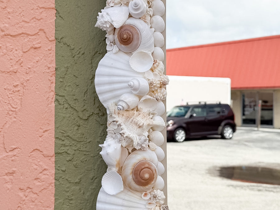 Custom Shell Chic Mirror