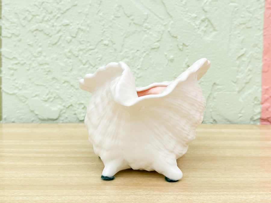 Pink and White Conch Shell Cachepot