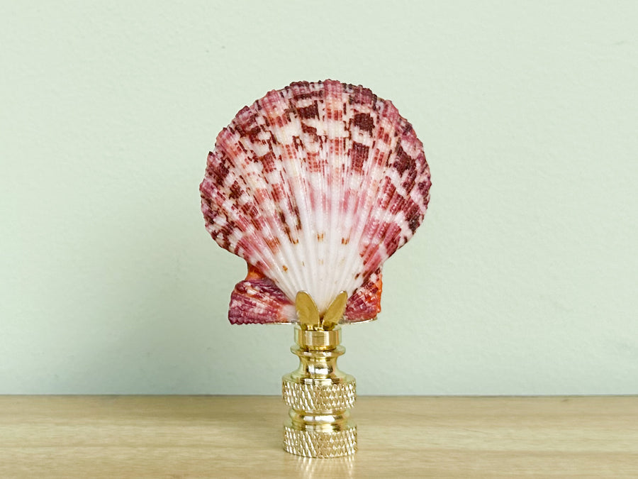 Pink Scallop Shell Finial