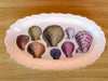 Scallop Shell Decoupage Trinket Tray