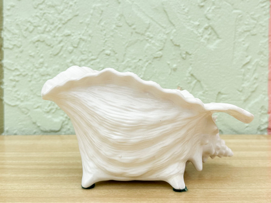 Pink and White Conch Shell Cachepot