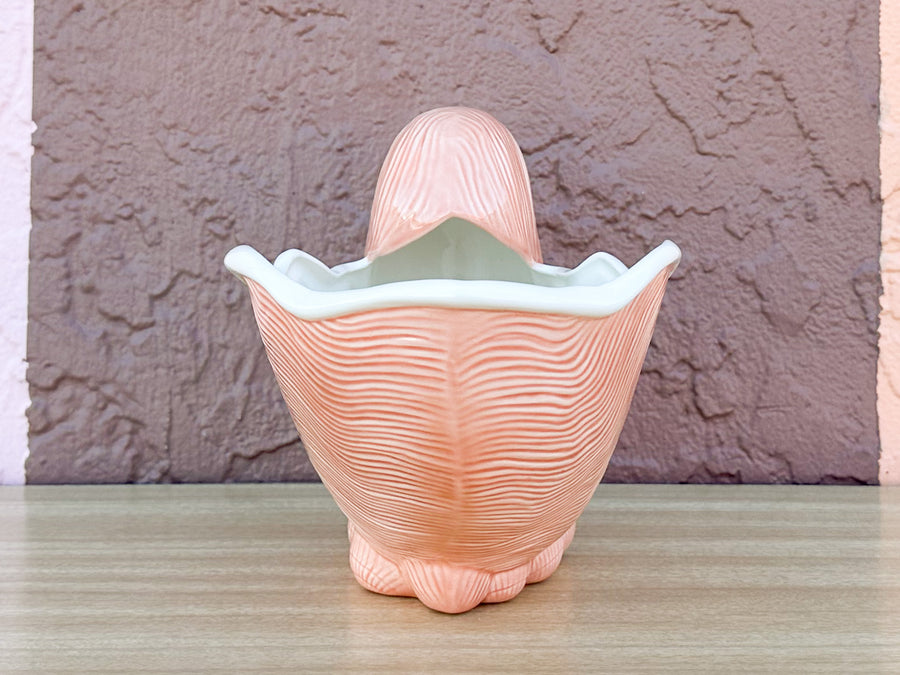 Peach Shell Cachepot