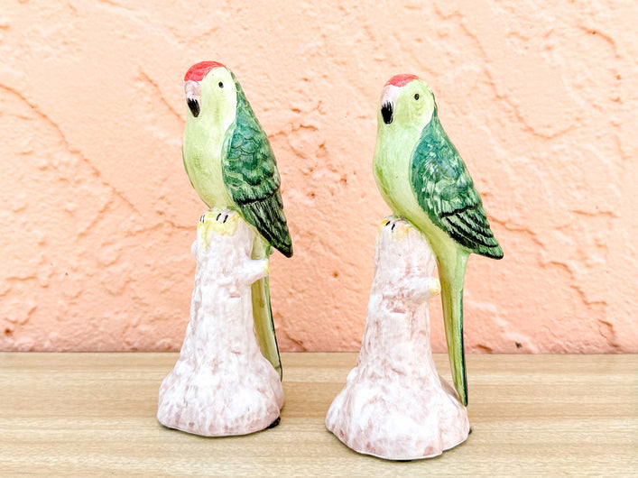 Pair of Adorable Italian Parakeets