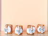 Set of Eight Shellegance Napkin Rings