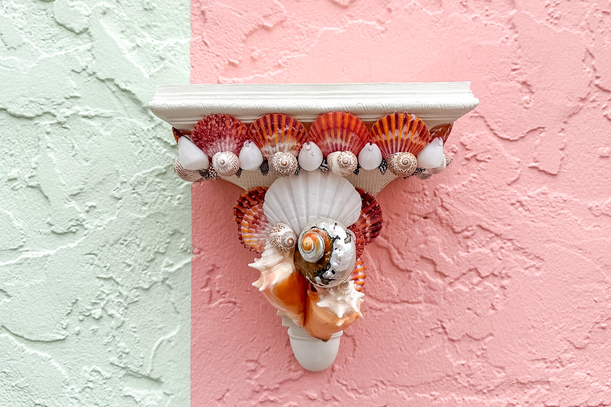 Pair of Shell Chic Wall Shelves