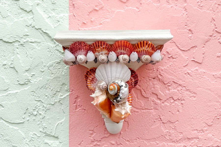 Pair of Shell Chic Wall Shelves