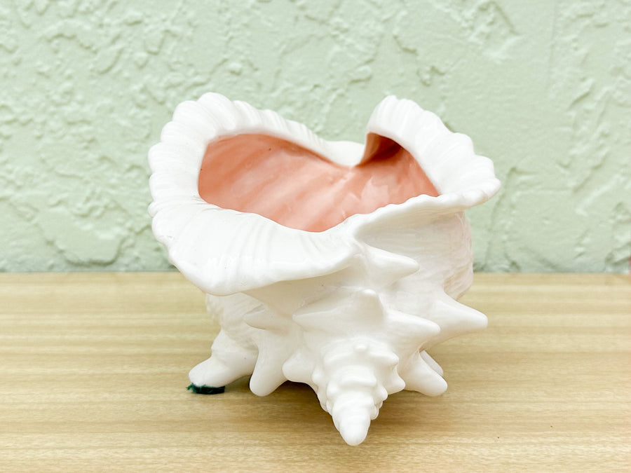 Pink and White Conch Shell Cachepot