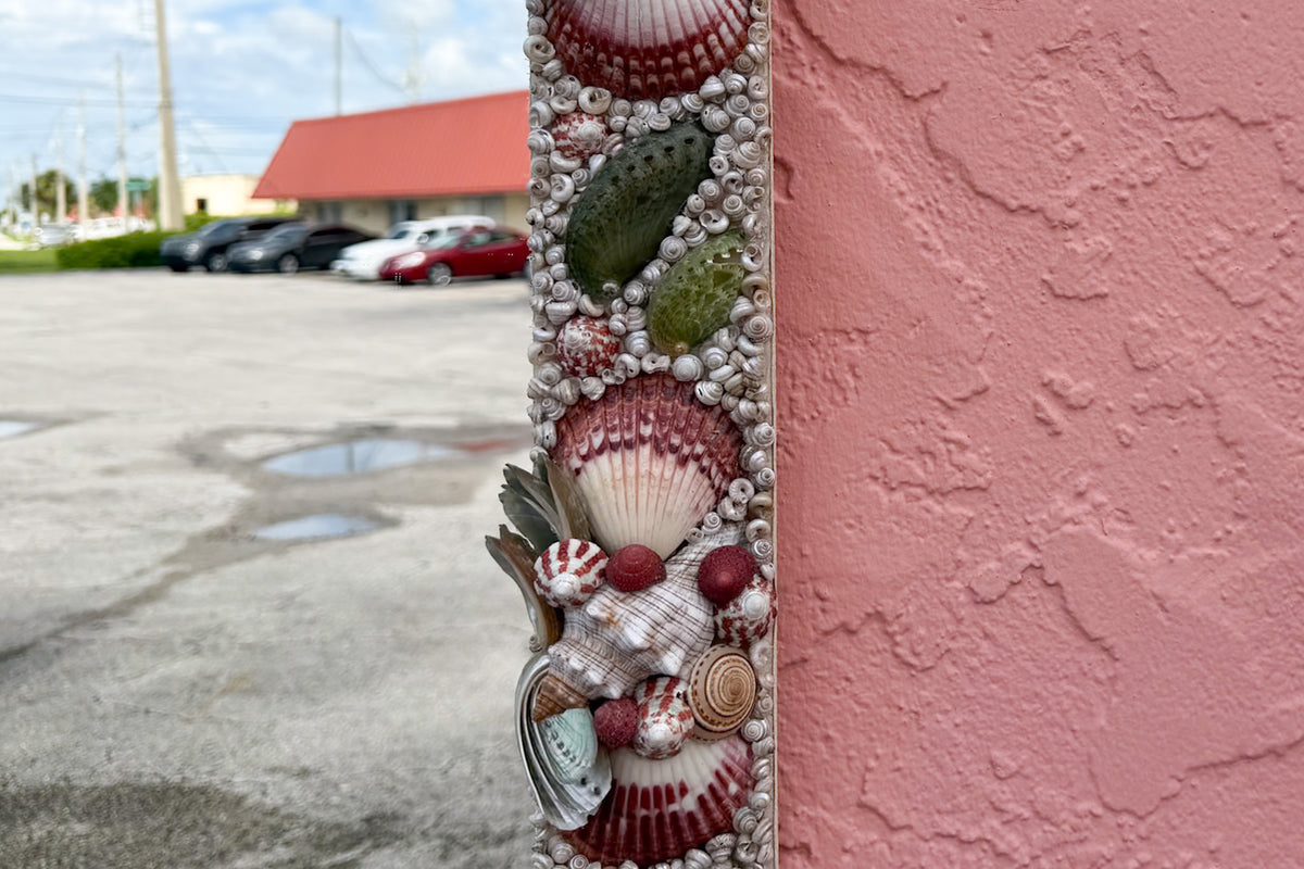 Custom Shell Chic Mirror