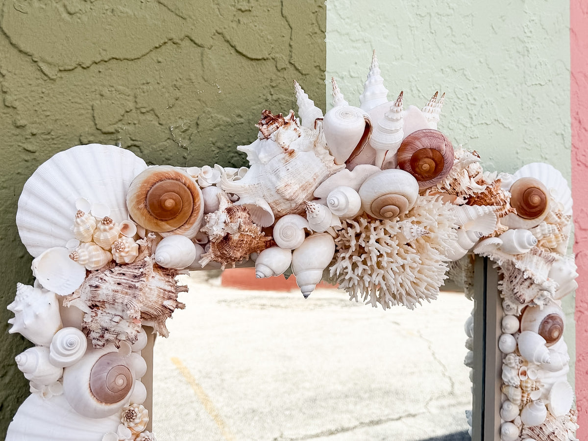 Custom Shell Chic Mirror