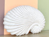 Plaster Shell Sculpture