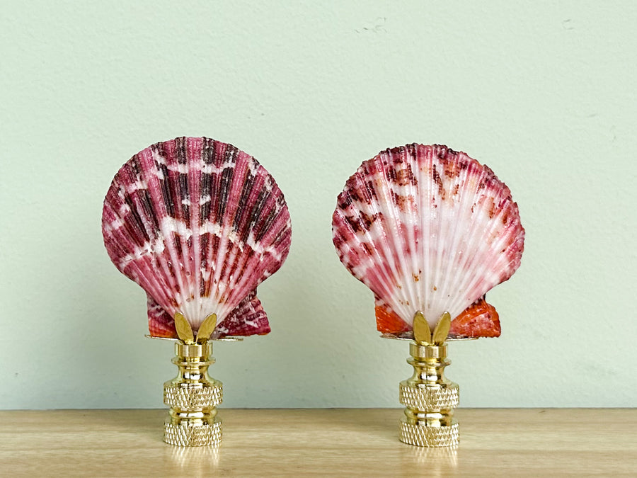 Pink Scallop Shell Finial