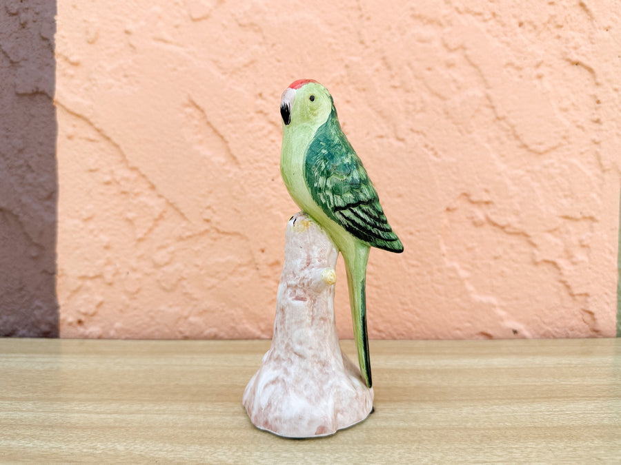 Pair of Adorable Italian Parakeets