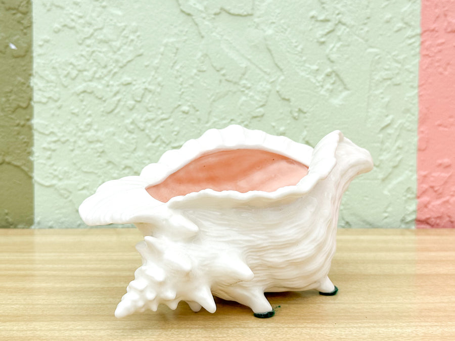Pink and White Conch Shell Cachepot