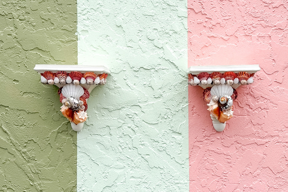 Pair of Shell Chic Wall Shelves
