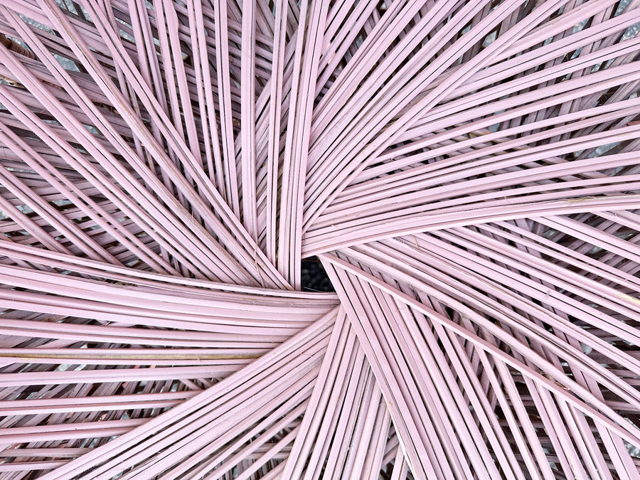 Pink Chic Peacock Chair
