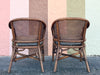 Pair of Handsome Cane Barrel Chairs