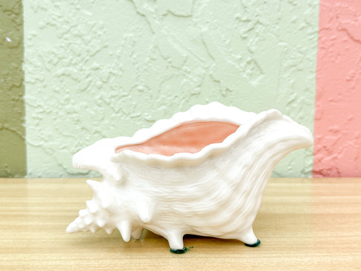 Pink and White Conch Shell Cachepot