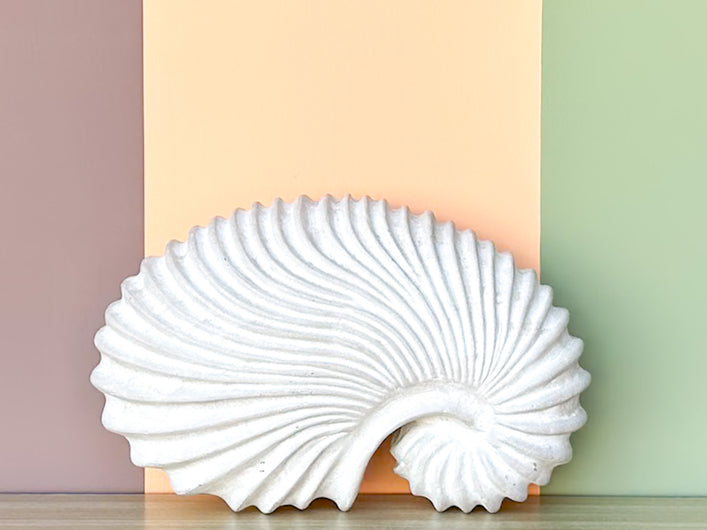 Plaster Shell Sculpture