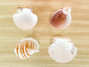 Set of Four Shell Chic Coupes