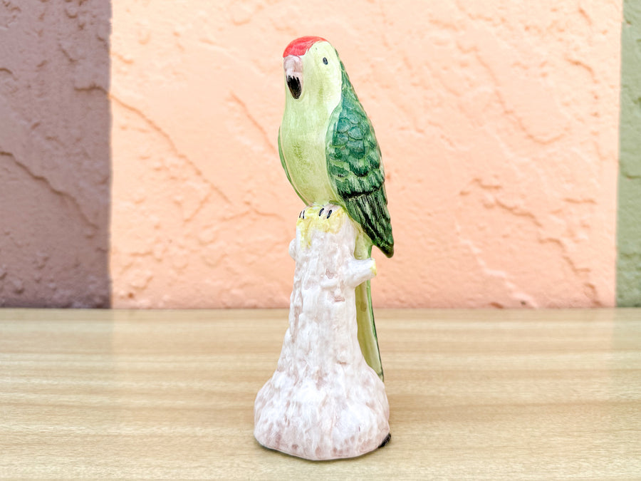Pair of Adorable Italian Parakeets