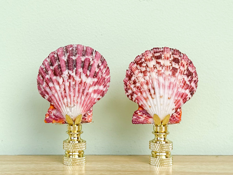 Pink Scallop Shell Finial