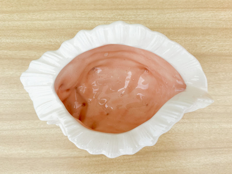 Pink and White Conch Shell Cachepot