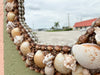 Natural Hexagon Shell Mirror