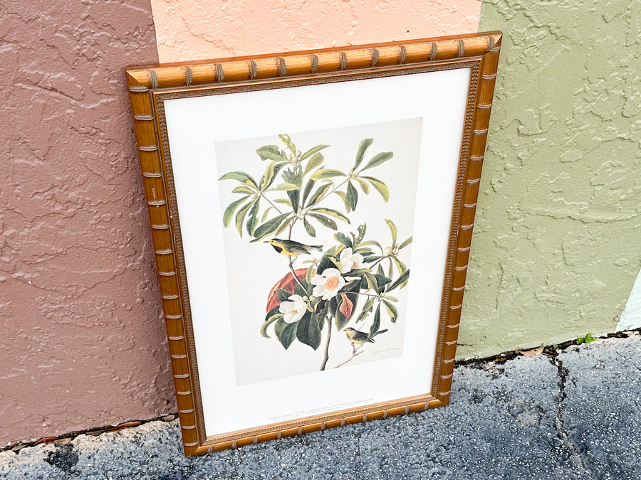 Pretty Audubon Framed Print