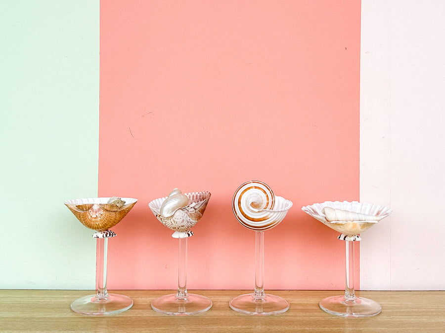 Set of Four Shell Chic Coupes