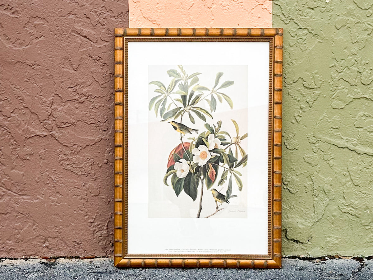 Pretty Audubon Framed Print