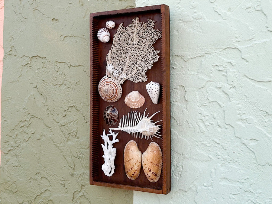 Petite Printers Tray Shell Display