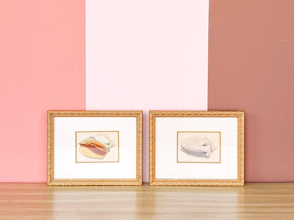 Pair of Sweet Shell Framed Prints