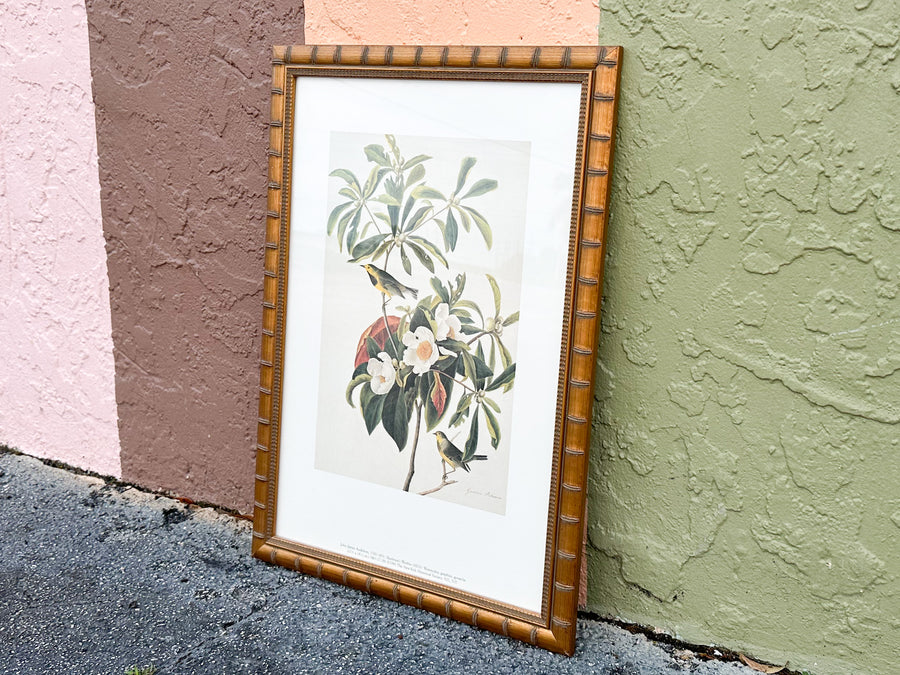 Pretty Audubon Framed Print