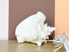 Cute Conch Shell Lamp