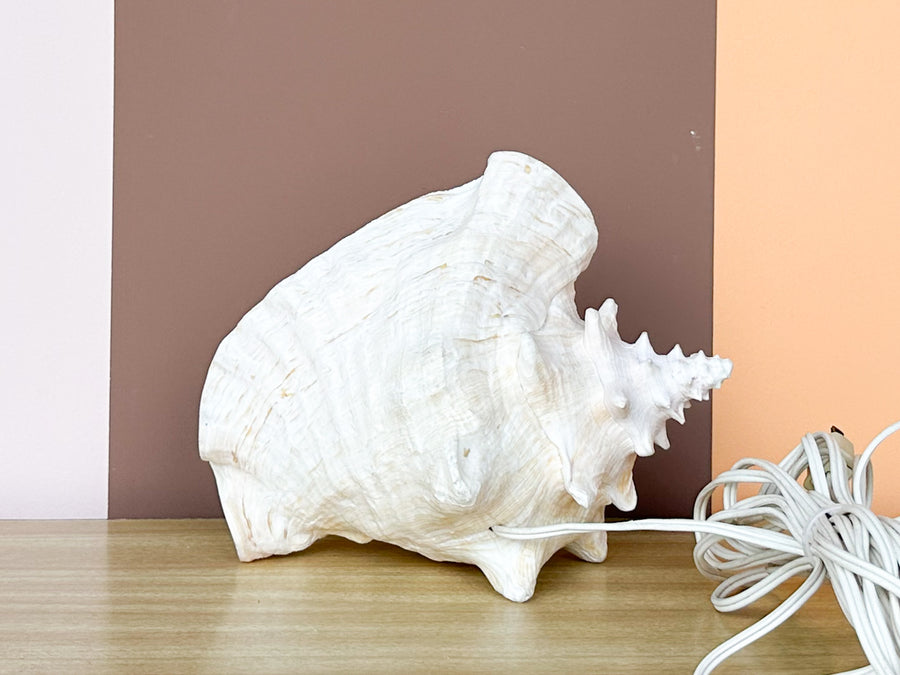 Cute Conch Shell Lamp