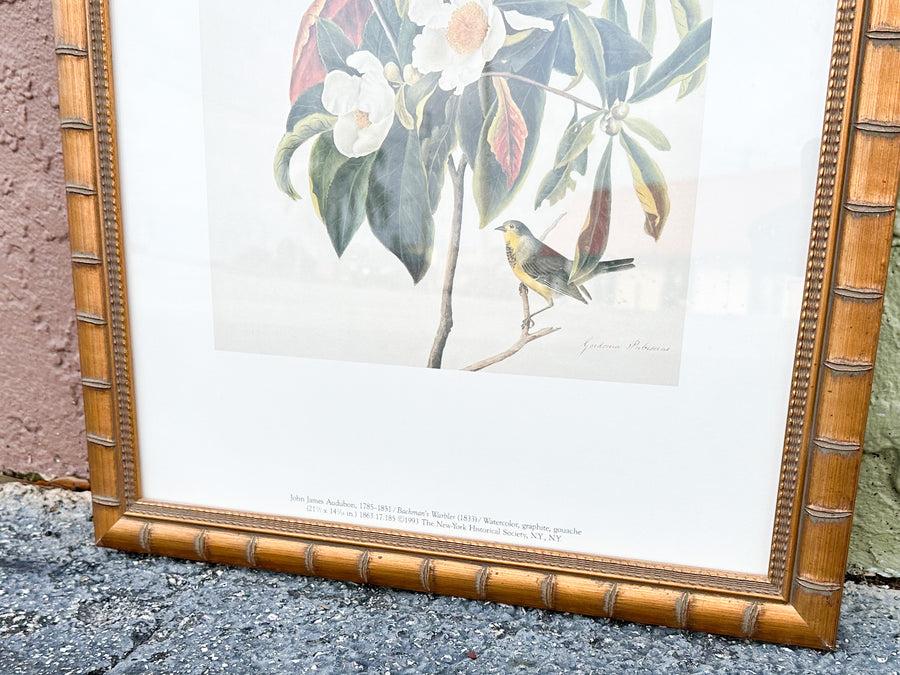 Pretty Audubon Framed Print