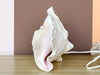 Cute Conch Shell Lamp