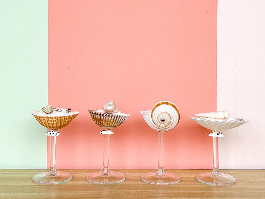 Set of Four Shell Chic Coupes