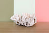 Lettuce Coral
