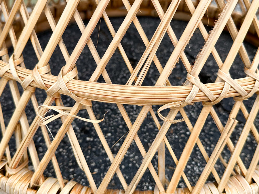 Pair of Island Style Buri Rattan Chairs
