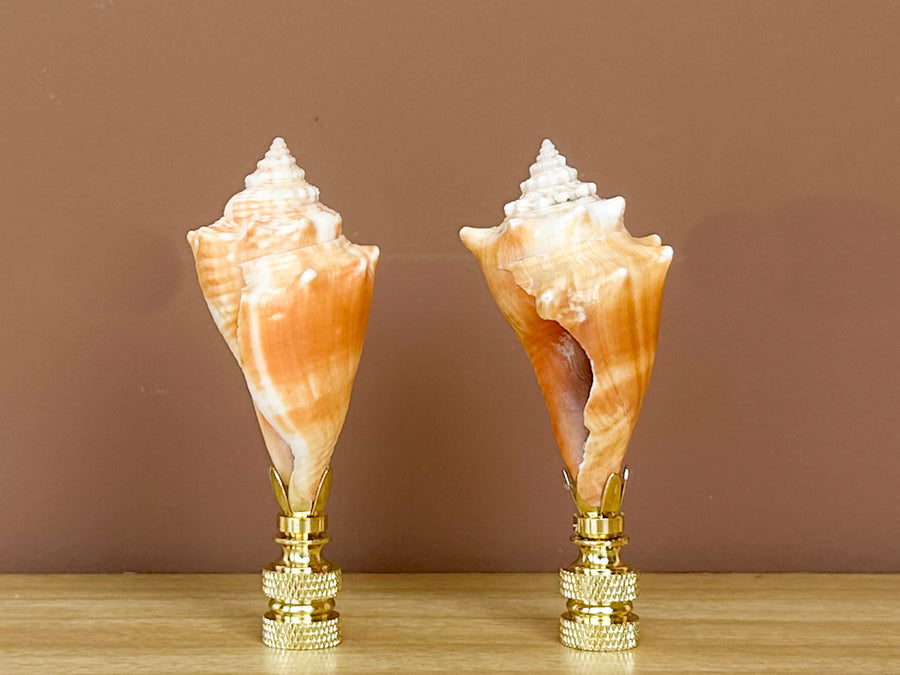 Orange Shell Finial